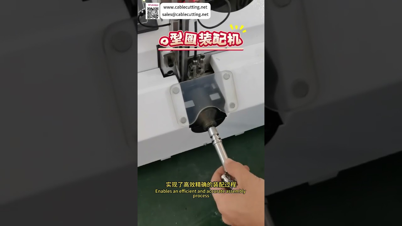 Spolehlivé automatizované montážní zařízení – Výrobní stroje s vysokou přesností na míru - Shorts
