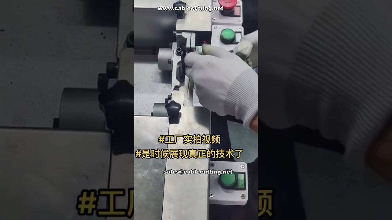 Live Demo Automatic Carbon Brush Assembly Machine # Factory Automation # Saves Labor