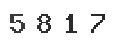 Verification Code Image